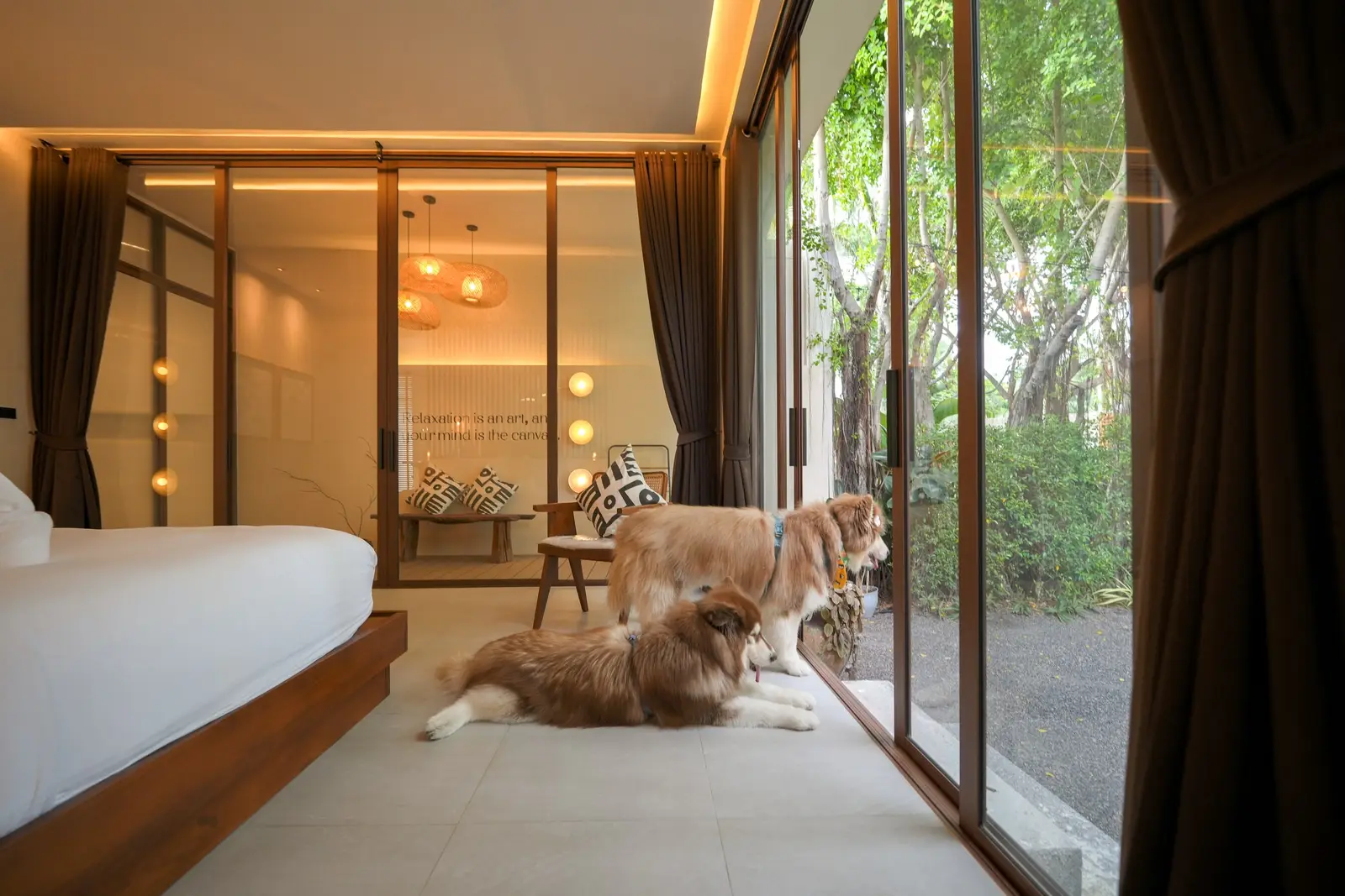 น้องหมานอนพักในห้องนอนที่เปิดออกสู่สวน